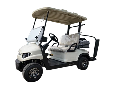 Dois carrinhos de golfe estreitos